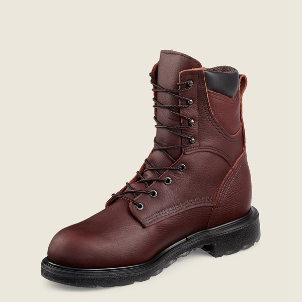 Botas de Trabajo Red Wing Hombre Vino - Supersole® 2.0 - 8-Inch Waterproof Soft Toe - 312-FARYXI